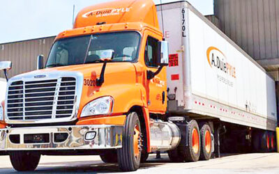 ABCD Corporation Announces Major Land Sale and Business Expansion